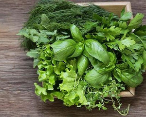 Nasiona Ziół - Niezłe Ziółko