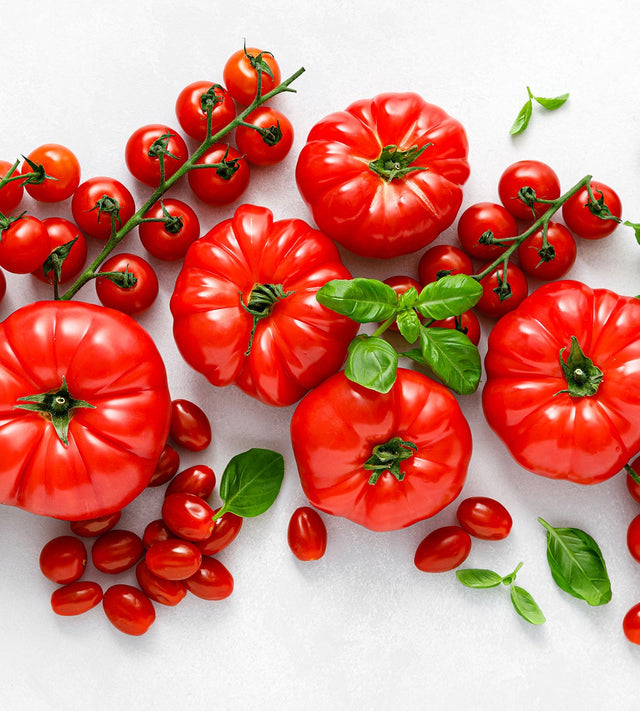 Najlepsze sadzonki warzyw, ziół i owoców