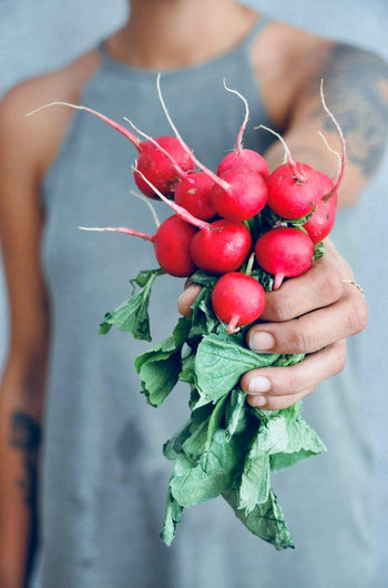 Nasiona Rzodkiewki - Niezłe Ziółko