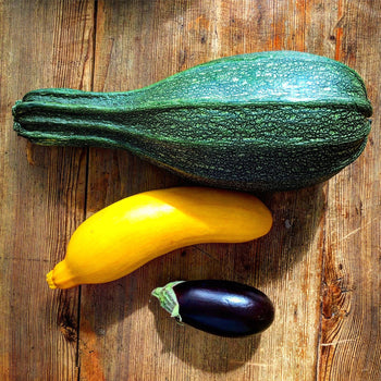 Nasiona Cukinii - Niezłe Ziółko