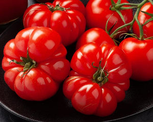 Sadzonki Warzyw - Niezłe Ziółko