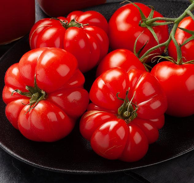 Sadzonki Warzyw - Niezłe Ziółko