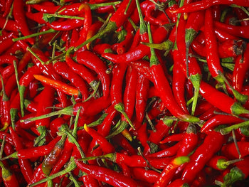 Papryka ostra - Niezłe Ziółko