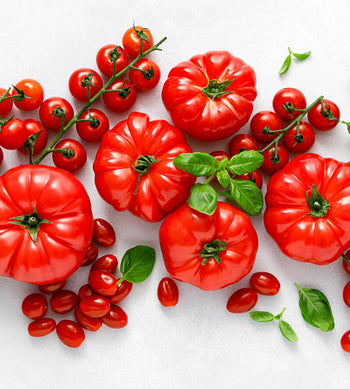 Sadzonki i Rozsady Warzyw, Owoców i Ziół - Niezłe Ziółko