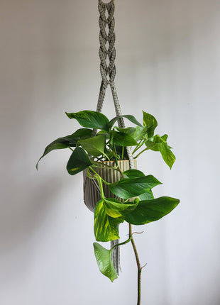 KWIETNIK WISZĄCY MAKRAMA RĘCZNIE WYPLATANY - KOLOR JASNA OLIWKA