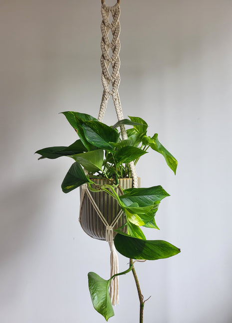 KWIETNIK WISZĄCY MAKRAMA RĘCZNIE WYPLATANY - KOLOR NATURALNY