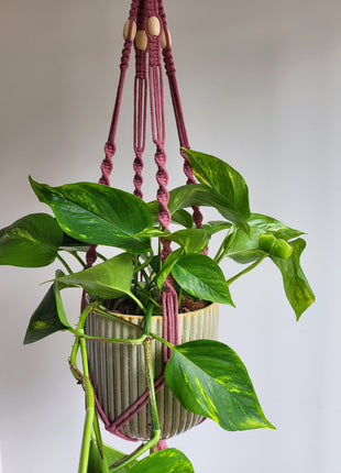 KWIETNIK WISZĄCY MAKRAMA RĘCZNIE WYPLATANY - KOLOR CIEMNY RÓŻ