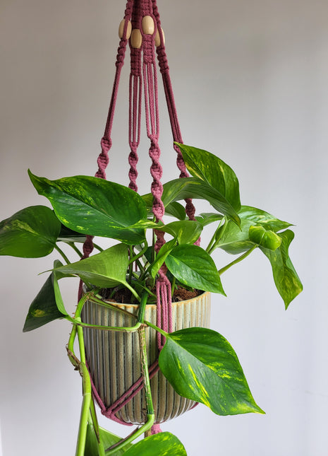 KWIETNIK WISZĄCY MAKRAMA RĘCZNIE WYPLATANY - KOLOR CIEMNY RÓŻ