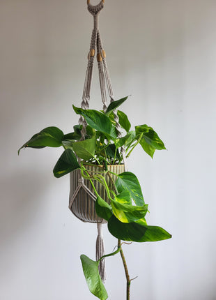 KWIETNIK WISZĄCY MAKRAMA RĘCZNIE WYPLATANY - KOLOR LATTE