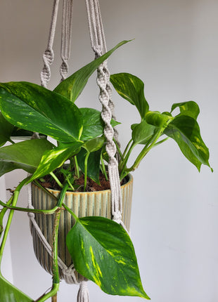 KWIETNIK WISZĄCY MAKRAMA RĘCZNIE WYPLATANY - KOLOR LATTE