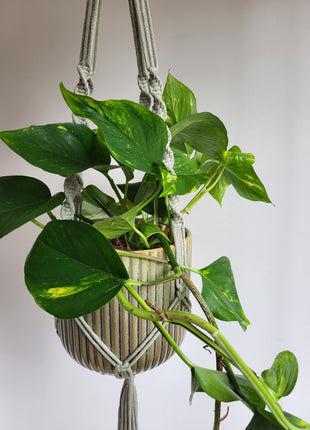 KWIETNIK WISZĄCY MAKRAMA RĘCZNIE WYPLATANY - KOLOR JASNA OLIWKA