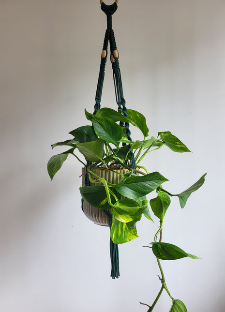 KWIETNIK WISZĄCY MAKRAMA RĘCZNIE WYPLATANY - KOLOR BUTELKOWA ZIELEŃ