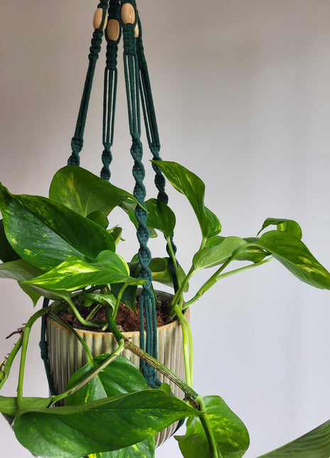 KWIETNIK WISZĄCY MAKRAMA RĘCZNIE WYPLATANY - KOLOR BUTELKOWA ZIELEŃ