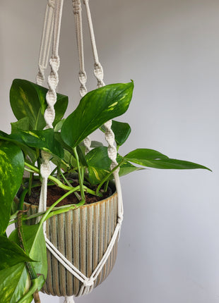 KWIETNIK WISZĄCY MAKRAMA RĘCZNIE WYPLATANY - KOLOR NATURALNY