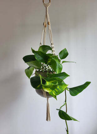 KWIETNIK WISZĄCY MAKRAMA RĘCZNIE WYPLATANY - KOLOR NATURALNY