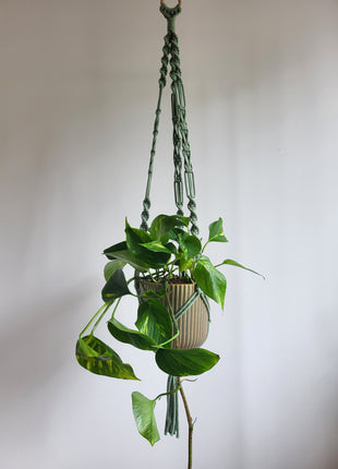 KWIETNIK WISZĄCY MAKRAMA RĘCZNIE WYPLATANY - KOLOR SZAŁWII