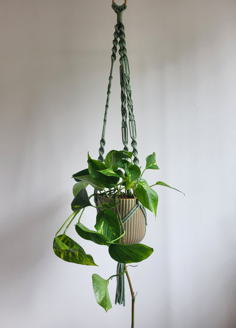 KWIETNIK WISZĄCY MAKRAMA RĘCZNIE WYPLATANY - KOLOR SZAŁWII