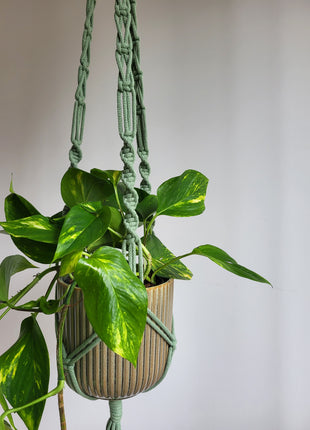 KWIETNIK WISZĄCY MAKRAMA RĘCZNIE WYPLATANY - KOLOR SZAŁWII