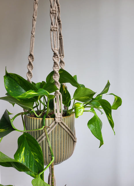 KWIETNIK WISZĄCY MAKRAMA RĘCZNIE WYPLATANY - KOLOR CAPPUCCINO