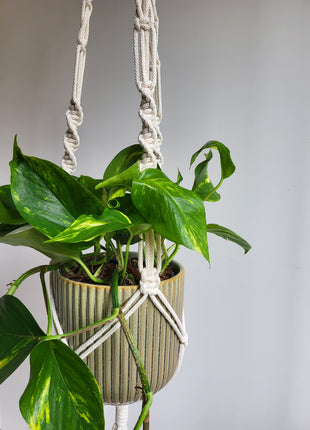 KWIETNIK WISZĄCY MAKRAMA RĘCZNIE WYPLATANY - KOLOR NATURALNY