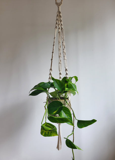 KWIETNIK WISZĄCY MAKRAMA RĘCZNIE WYPLATANY - KOLOR NATURALNY