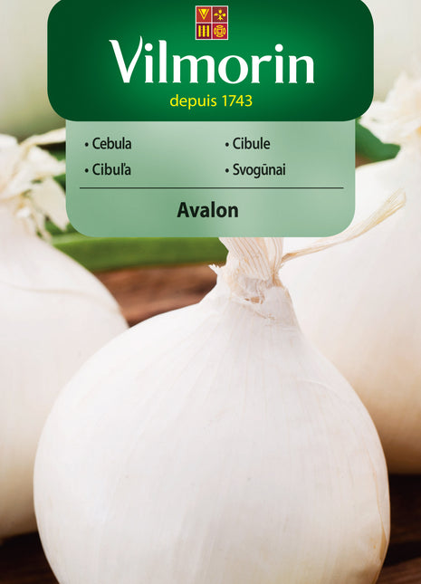 Nasiona - Cebula biała, średnio wczesna Avalon 3g