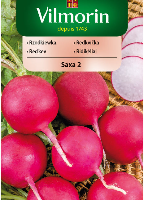 Nasiona – Rzodkiewka Saxa 2 BIO 5g