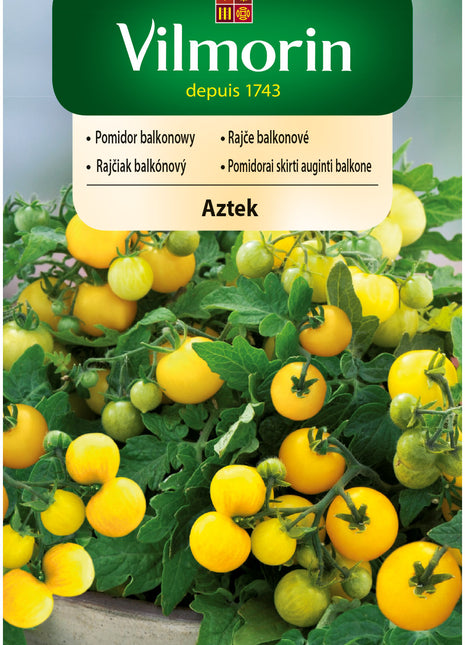 Nasiona - Pomidor balkonowy, średnio wczesny Aztek 0,3g