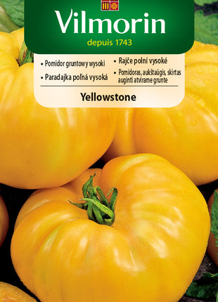 Nasiona Pomidora - Yellowstone 0,2g