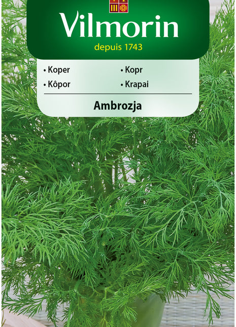 Nasiona - Koper Ambrozja 5g