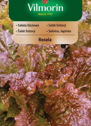 Nasiona – Sałata liściowa, czerwona, wczesna Rosela 1g