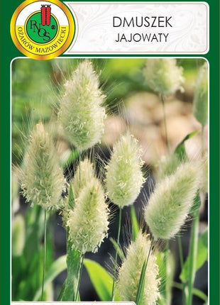 Nasiona - Trawa ozdobna Dmuszek jajowaty 0,2g