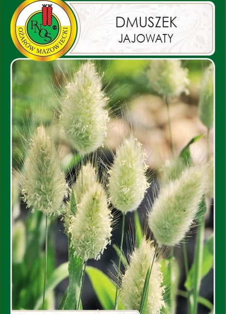 Nasiona - Trawa ozdobna Dmuszek jajowaty 0,2g