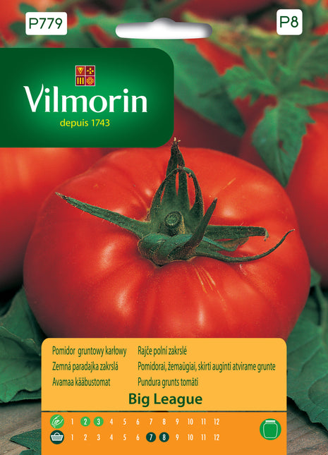Nasiona - Pomidor gruntowy, karłowy Big League 15 ZIAREN