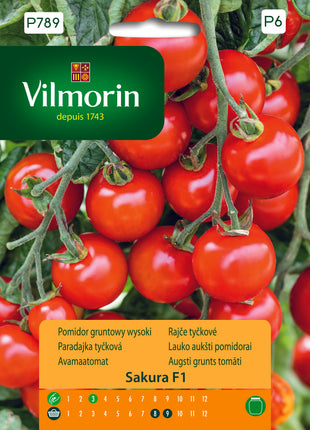 Nasiona - Pomidor gruntowy, wysoki  Sakura F1 Profi 9 ZIAREN