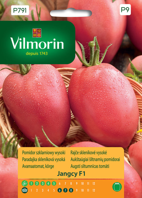 Nasiona - Pomidor szklarniowy wysoki Jangcy F1 Profi 7 ZIAREN