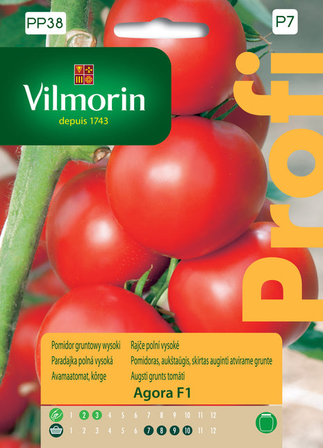 Nasiona - Pomidor gruntowy wysoki, czerwony, średnio wczesny Agora F1 Profi 0,2g