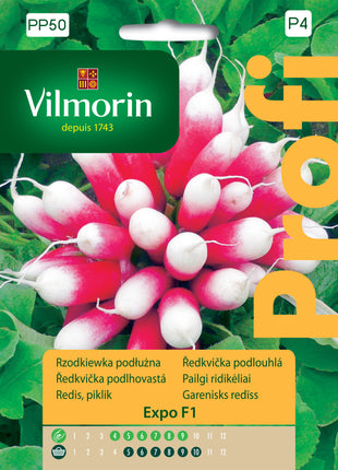 Nasiona – Rzodkiewka podłużna, czerwona z białym końcem, wczesna Expo F1 Profi 5g
