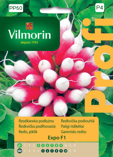 Nasiona – Rzodkiewka podłużna, czerwona z białym końcem, wczesna Expo F1 Profi 5g