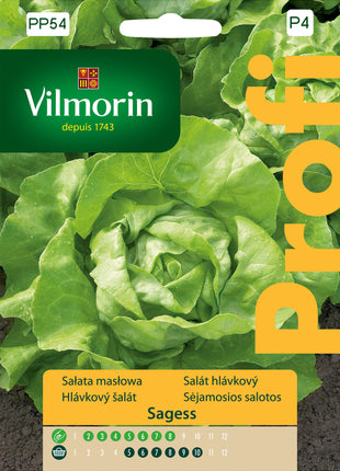 Nasiona – Sałata gruntowa masłowa, średnio wczesna Sagess Profi 0,5g