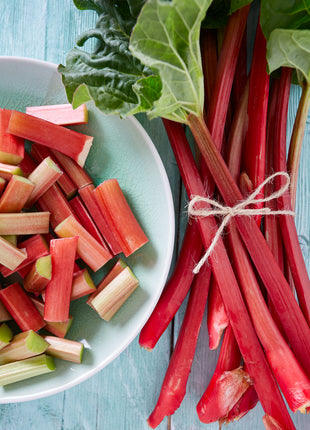 Rabarbar Malinowy - Sadzonka