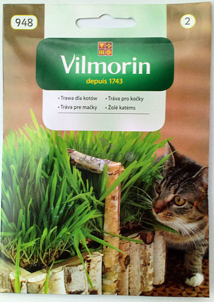 Nasiona - Trawa dla kotów 25g