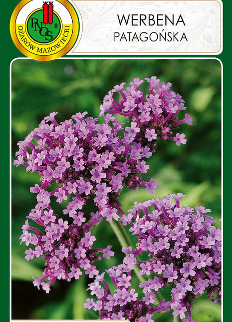 Nasiona - Werbena patagońska 0,1g