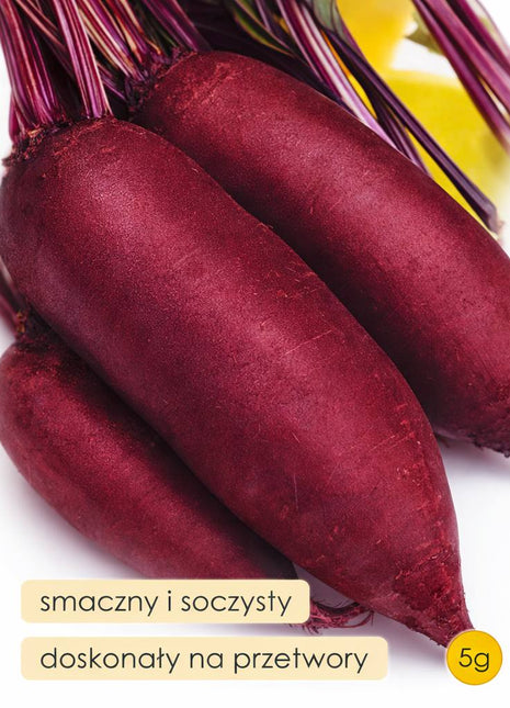 Nasiona - Burak ćwikłowy Alexis 5g