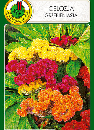 Nasiona - Celozja Grzebieniasta Niska Mieszana 0,3g