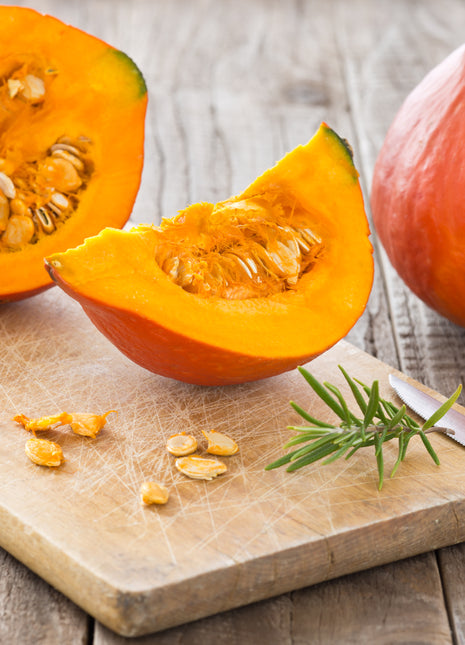 Dynia Hokkaido - Sadzonka