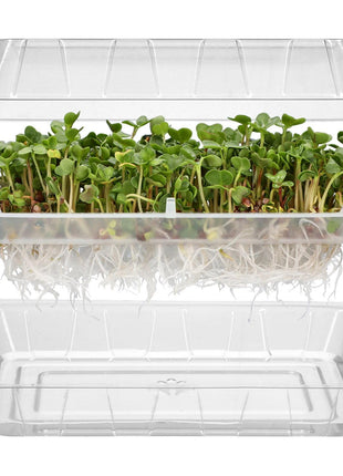 MINI KIEŁKOWNICA - DO DOMOWEJ UPRAWY KIEŁKÓW 1 SZTUKA - Niezłe Ziółko