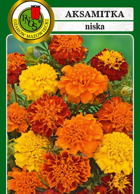 Nasiona - AKSAMITKA PEŁNA NISKA MIESZANKA 1g - Niezłe Ziółko