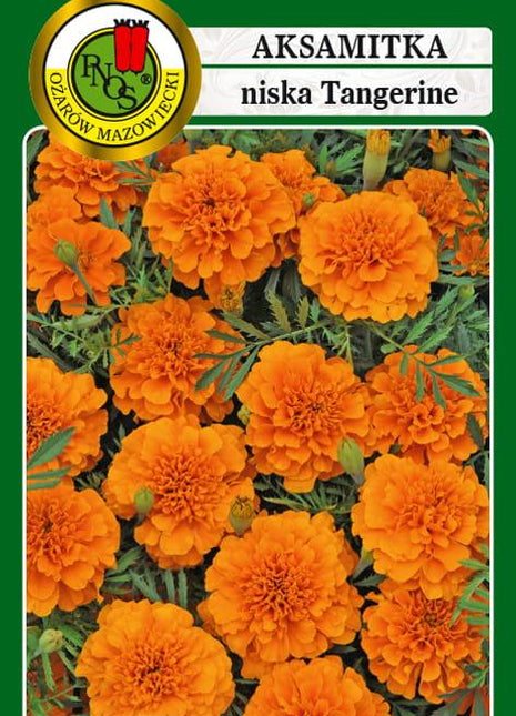 Nasiona - AKSAMITKA PEŁNA NISKA TANGERINE POMARAŃCZOWA 1g - Niezłe Ziółko
