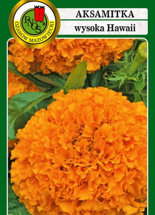 Nasiona - AKSAMITKA PEŁNA WYSOKA HAWAII POMARAŃCZOWA 1g - Niezłe Ziółko